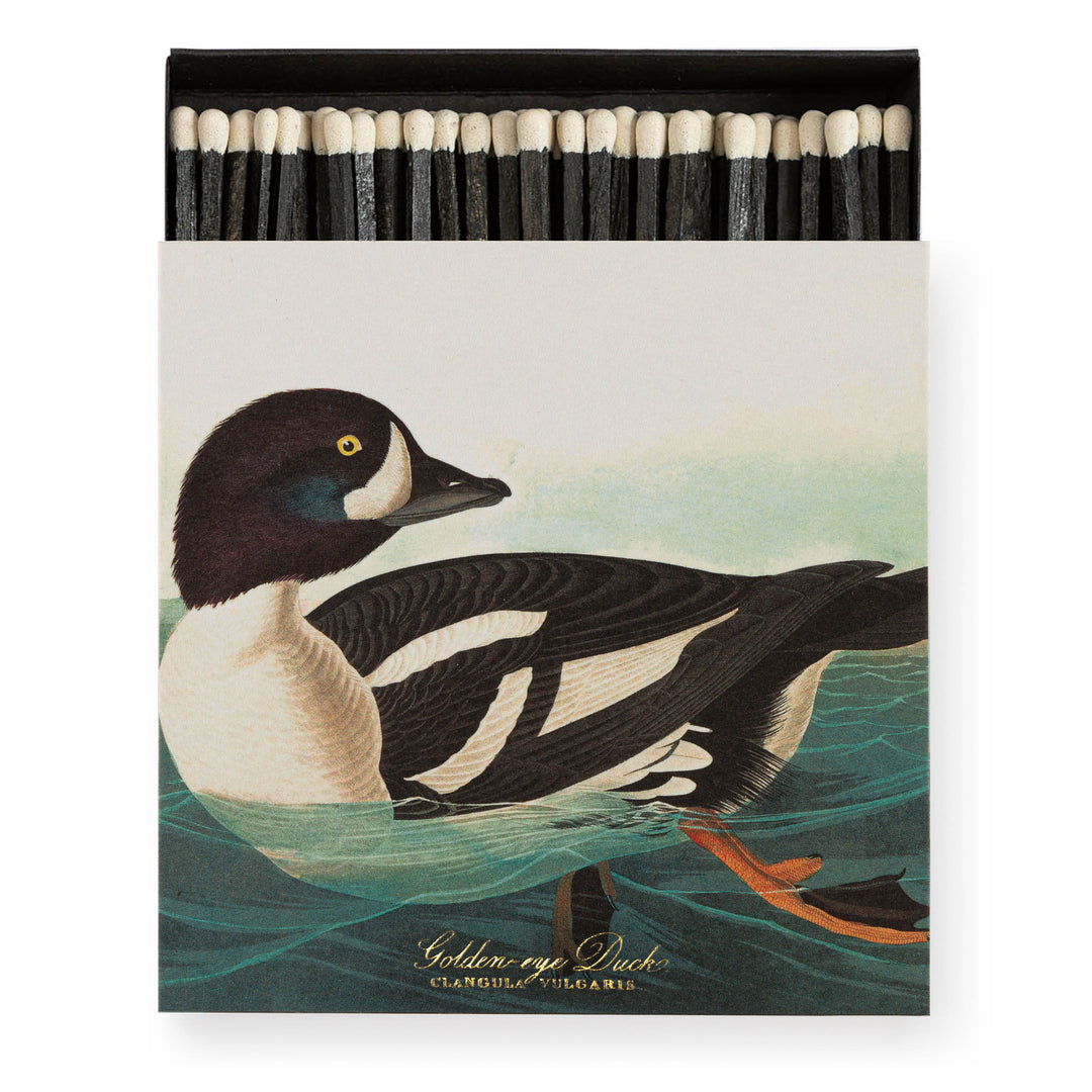 The Golden-eye Duck by Audubon