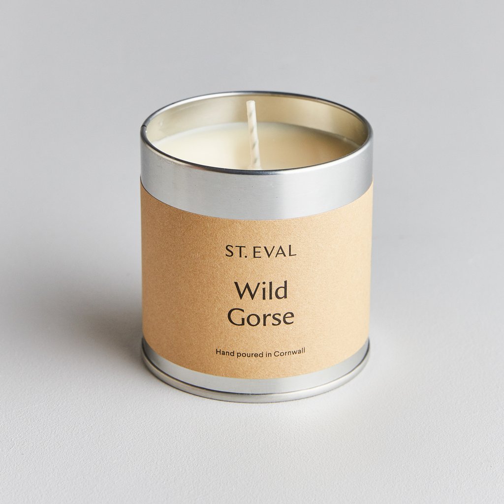 Tin Wild Gorse