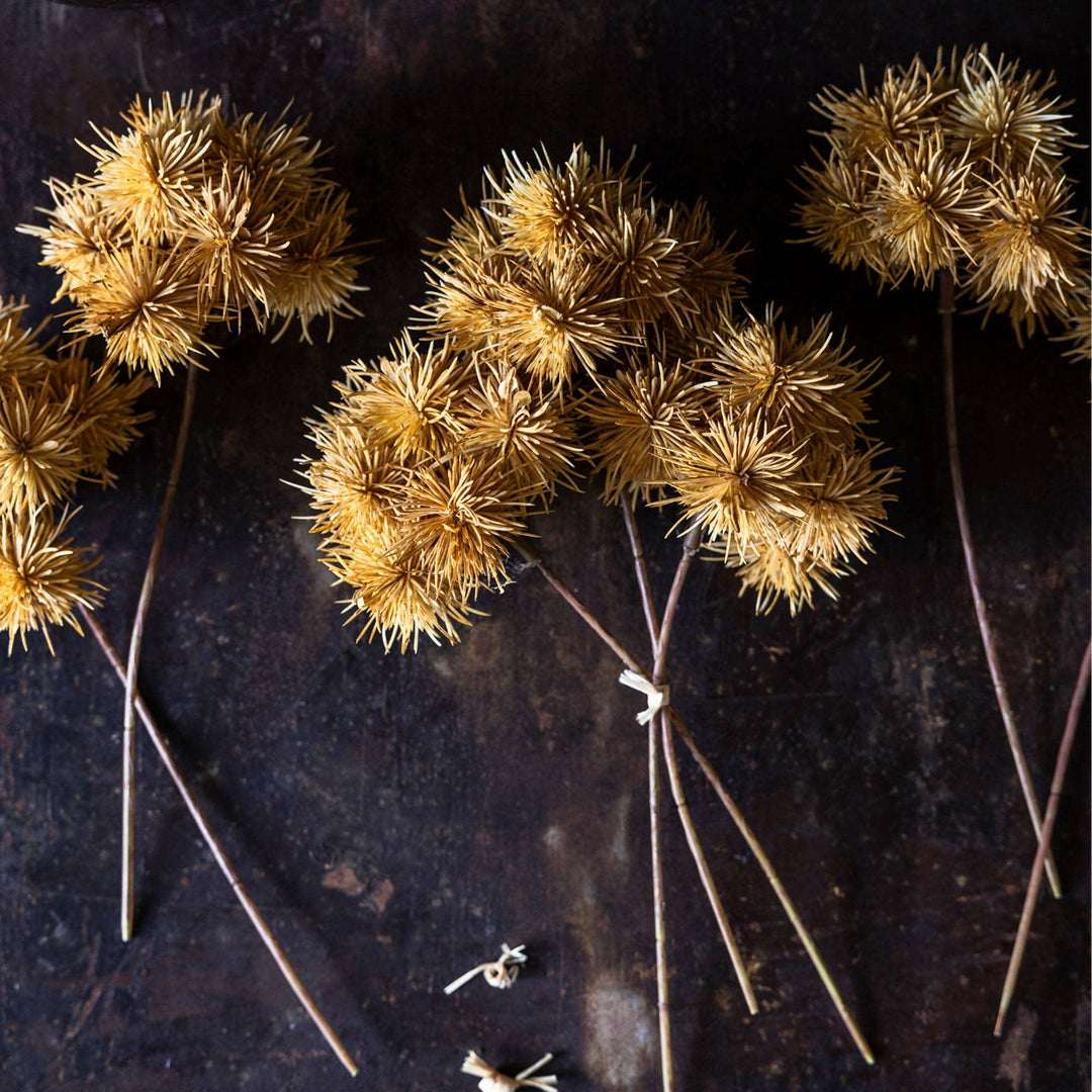 ARTIFICIAL MARRON BUNCH