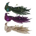 Green/Plum/Gold Peacock Clip, 3as,  (LxWxD) 9x20x8cm