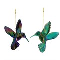 Acrylic Peacock Hummingbird Dec, 2as
