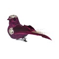 Purple Glitter/Feather Bird Clip, Sml,  (LxWxD) 4x9x3cm