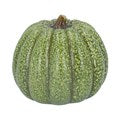 Ceramic Orn 16.3cm - Green Speckle Pumpkin