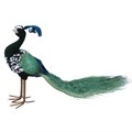 Green Fabric Peacock Orn,  (LxWxD) 26x50x15cm