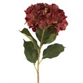 Stem 84cm - Antique Burgundy Hydrangea