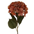 Stem 84cm - Antique Orange Hydrangea