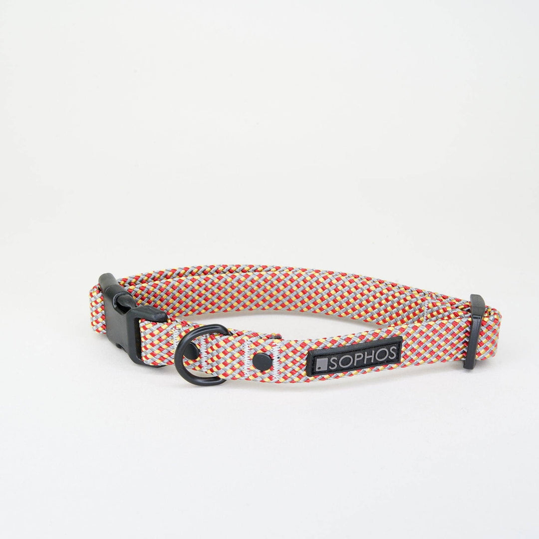 Rope Dog Collar Multicoloured: Medium