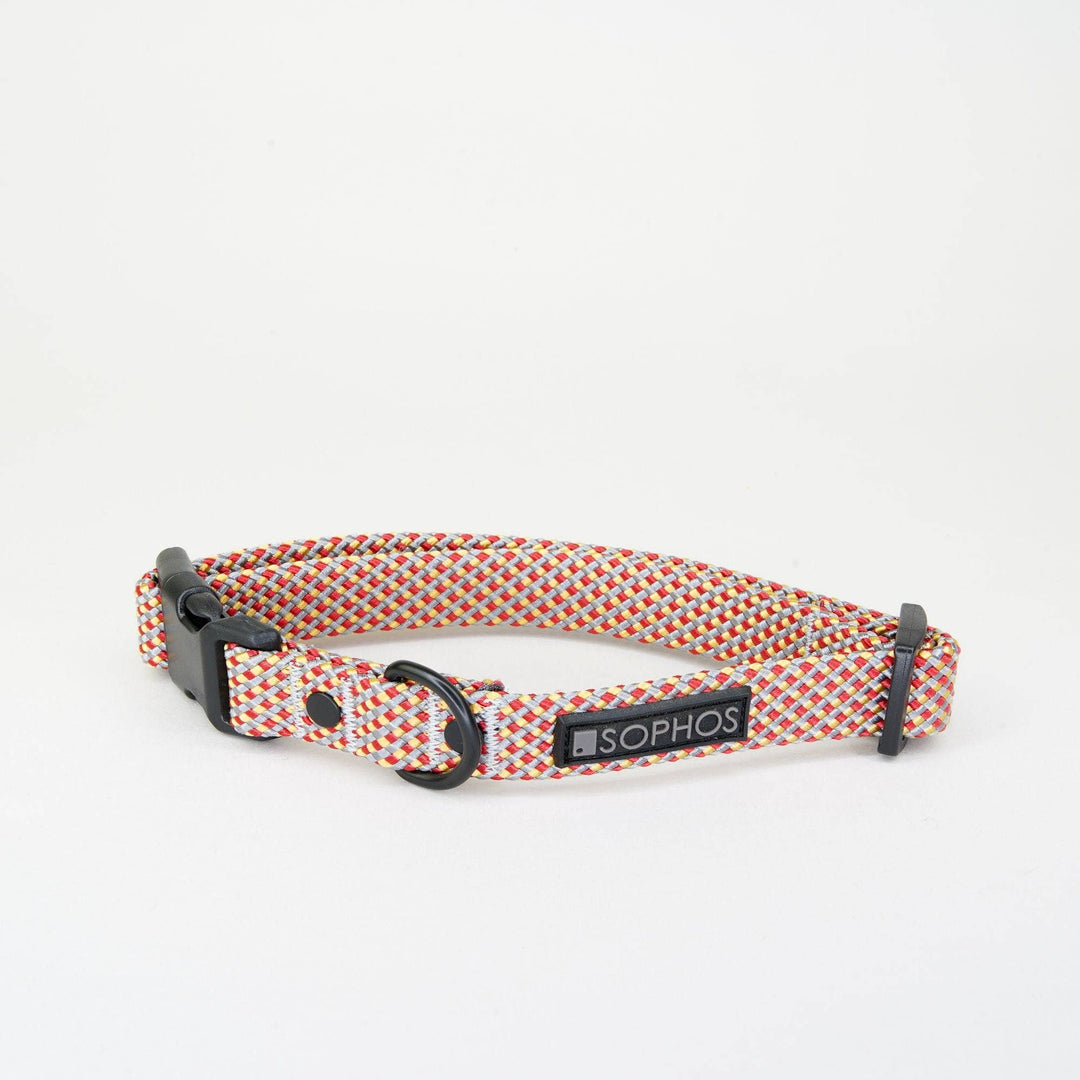Rope Dog Collar Multicoloured: Medium