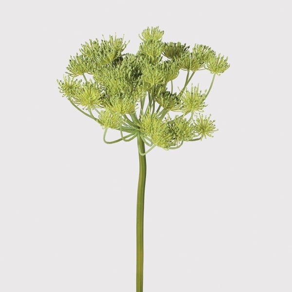 Queen Anne's Lace Spray