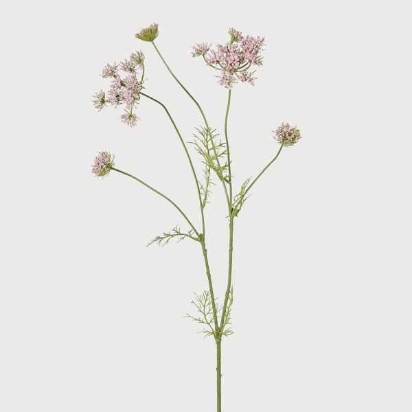 Blush Meadowsweet Spray