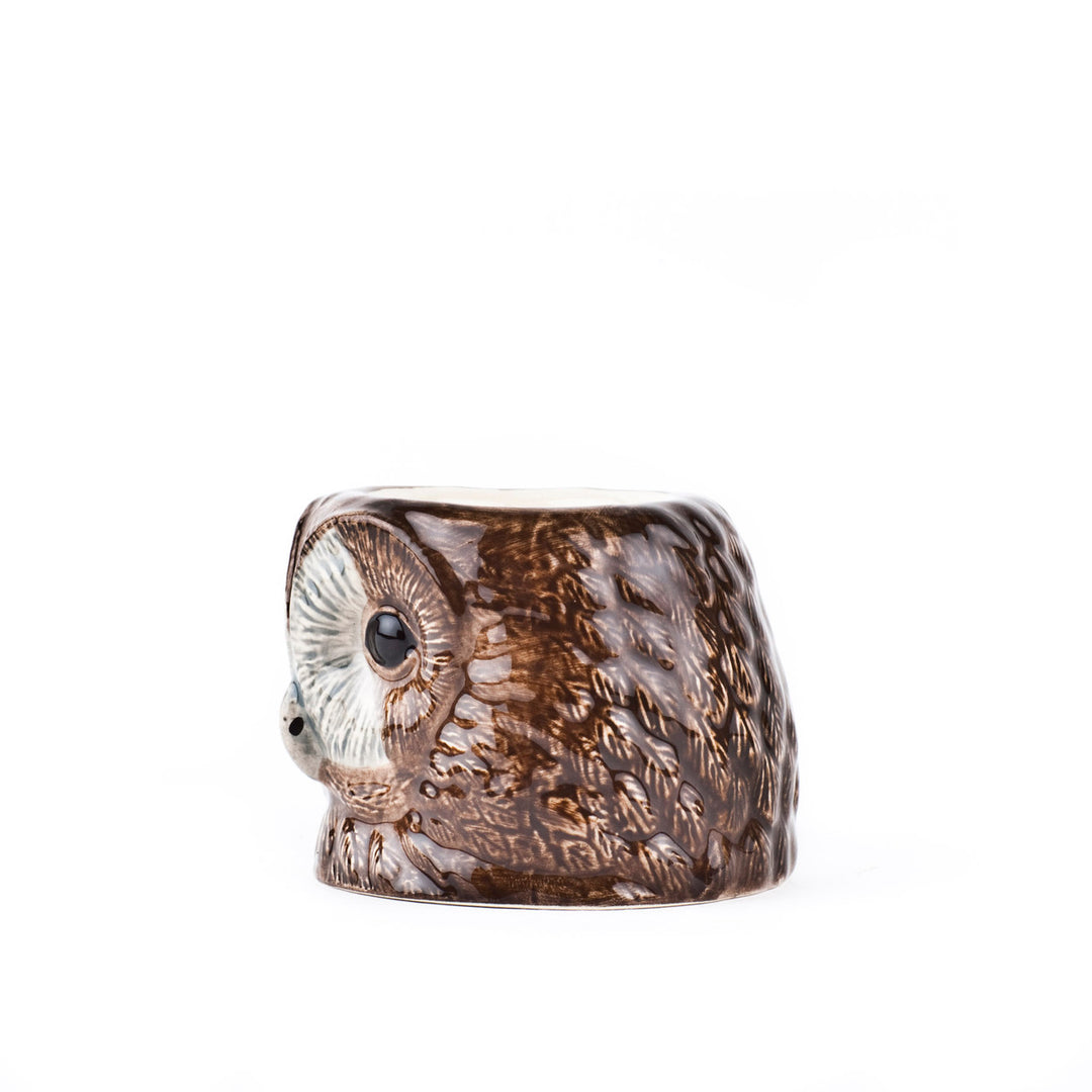 Tawny Owl face egg cup