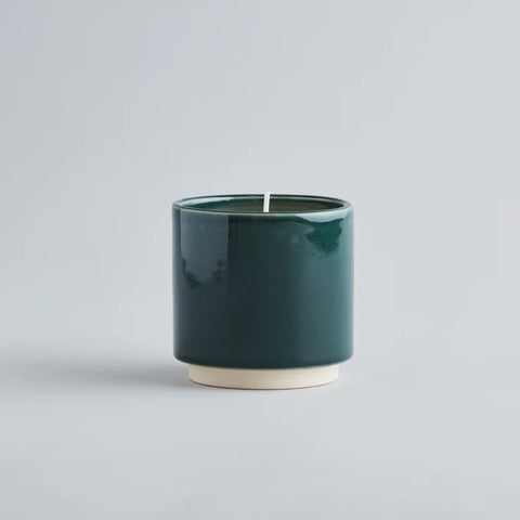 Winter Thyme, Winter's Eve Pot