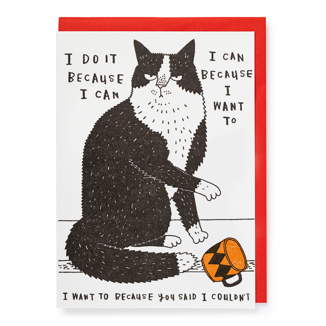 I Do It Because I Can | Letterpress Cards | Large Cards