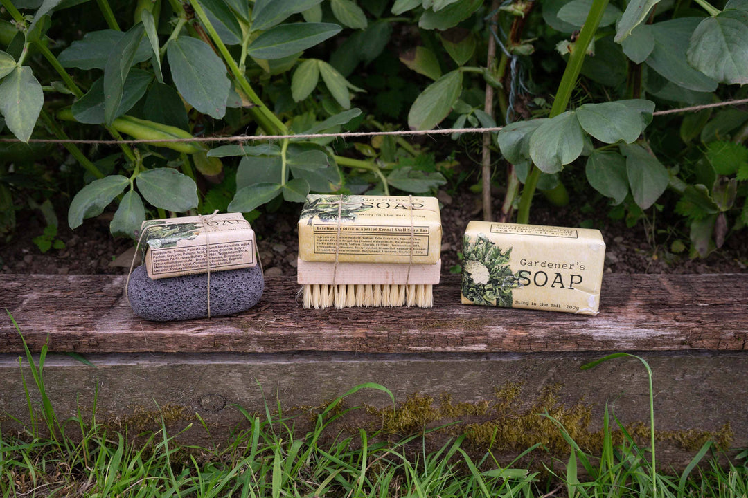Gardener's Olive Soap With Pumice Stone