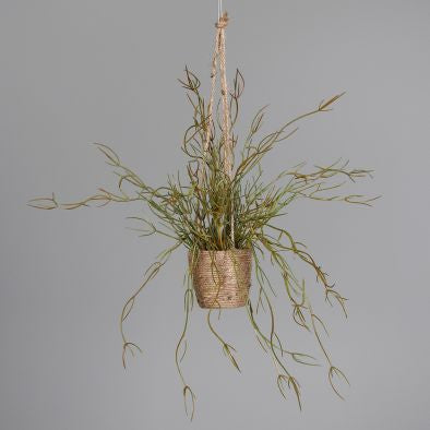 Greenery Plant In Basket For Hanging,