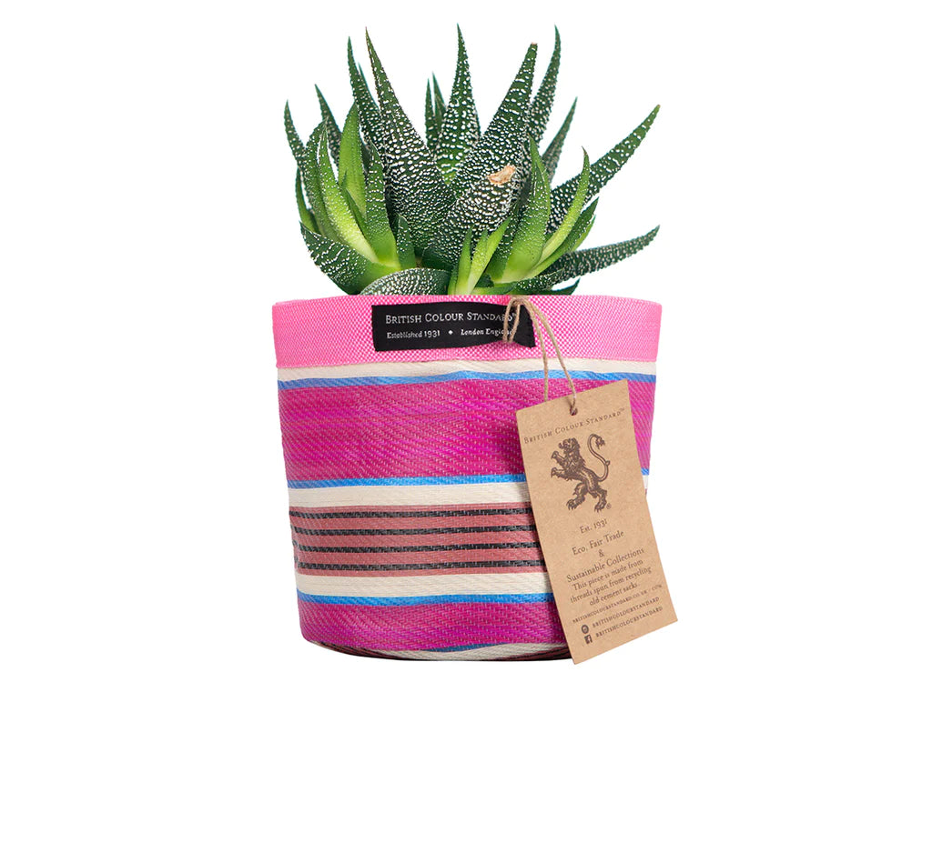 Eco Woven Plant Pot Cover in Neyron Pink, Pompadour & Pearl