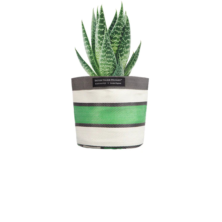 Eco Woven Plant Pot Cover in Grass Green, Indigo & Pearl