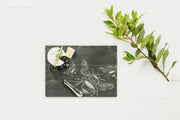 Bee Cheese Board & Knife Gift Set
