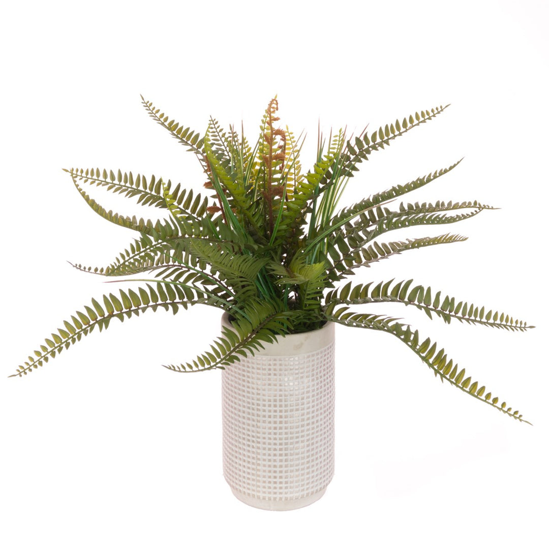 FERN IN CERAMIC POT 51CM