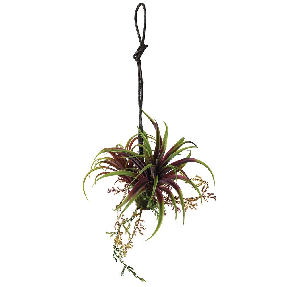 Green Mixed Hanging Plant